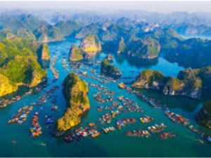 Alternative view of TOUR ĐẢO CÁT BÀ - VỊNH LAN HẠ GIÁ RẺ UY TÍN 2026