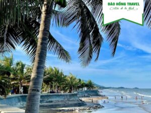 TOUR BIỂN HẢI TIẾN GIÁ RẺ UY TÍN 2026