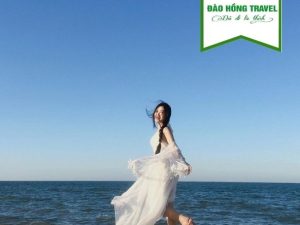 TOUR BIỂN CỬA LÒ - NGHỆ AN GIÁ RẺ UY TÍN HÈ 2026