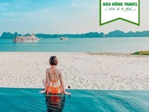 TOUR HẠ LONG - ĐẢO TUẦN CHÂU GIÁ RẺ UY TÍN 2026