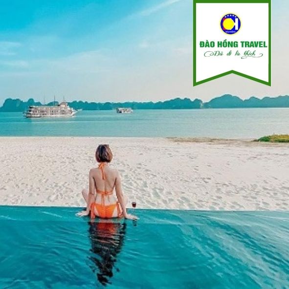 TOUR HẠ LONG - ĐẢO TUẦN CHÂU GIÁ RẺ UY TÍN 2026