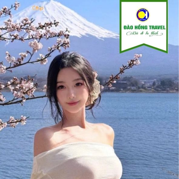 TOUR NHẬT BẢN: OSAKA – KOBE – KYOTO – NÚI PHÚ SĨ – TOKYO