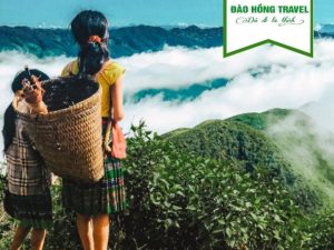 TOUR KHÁM PHÁ TÂY BẮC GIÁ RẺ UY TÍN 2026