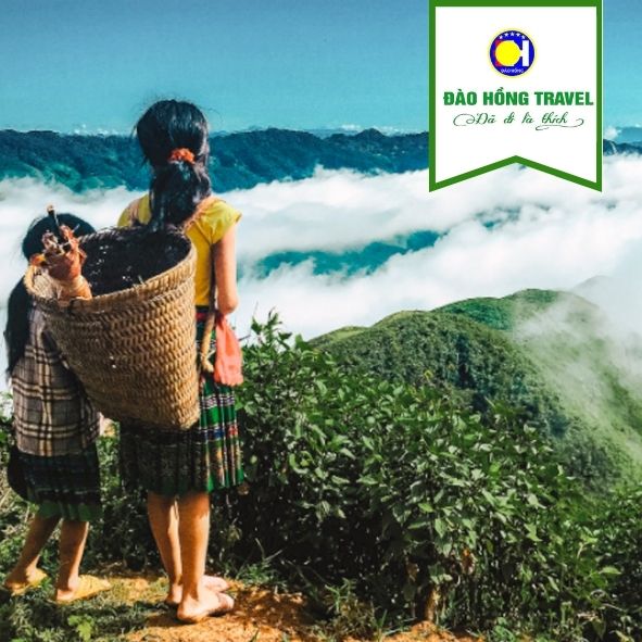 TOUR KHÁM PHÁ TÂY BẮC GIÁ RẺ UY TÍN 2026