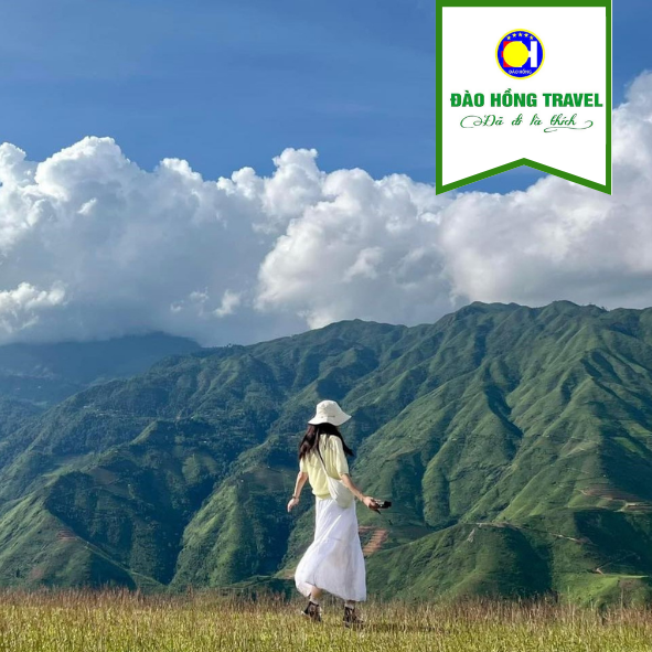 TOUR SĂN MÂY TÀ XÙA GIÁ RẺ UY TÍN 2026