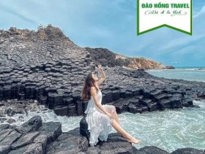 TOUR QUY NHƠN - PHÚ YÊN GIÁ RẺ UY TÍN 2026