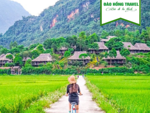 TOUR MAI CHÂU - MỘC CHÂU GIÁ RẺ UY TÍN 2026
