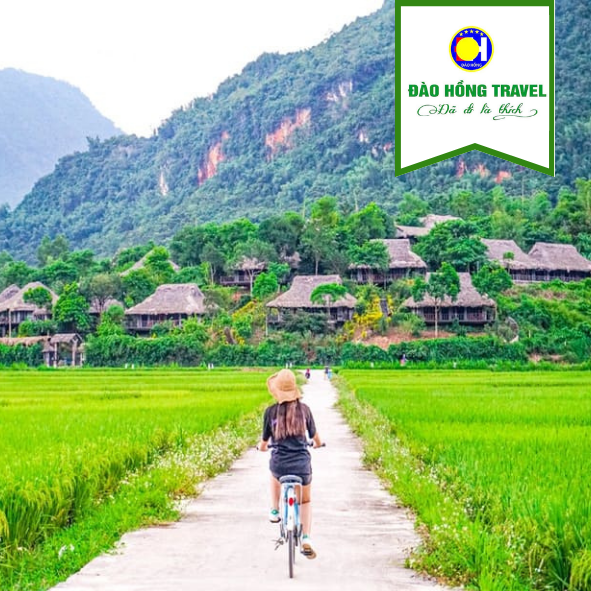 TOUR MAI CHÂU - MỘC CHÂU GIÁ RẺ UY TÍN 2026
